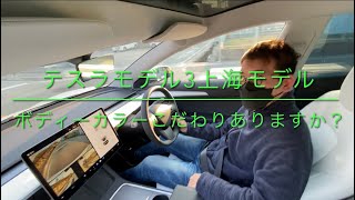 テスラ　モデル3上海モデル　ボディーカラー⁉️