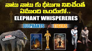 Unkown Facts About The Elephant Whisperers |Oscar Awards 2023 | RRR | NTR | Ramcharan @bharathitvnews