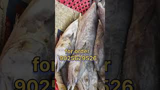 பட்டறை வஞ்சரம் கருவாடு தயார் #tamil #eatingchallengetamil #food #cooking #eattingchallenge #fishing