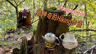 Teapot Hill｜大温地区最有趣的Hiking寻宝之地