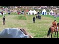 joust at carisbrooke castle