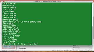 Word Analogies using fastText