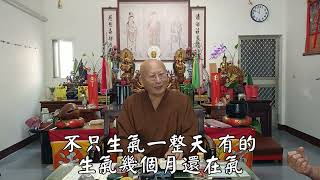 定西佛寺讀書會--上悟下進法師慈悲開示.270