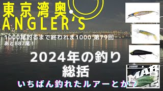 【東京湾奥】2024年の釣り総括！/ルアー釣り3年目　一番釣れたルアーとか！【シーバス釣り】Can We Catch Fish In Tokyo Bay? #79