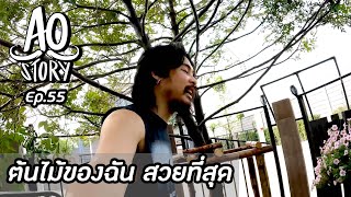 AO STORY EP.55 : ต้นไม้ของฉันสวยที่สุด