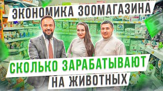 Сколько зарабатывают на животных. Экономика зоомагазина. Бизнес на зоотоварах. Зоомагазин \