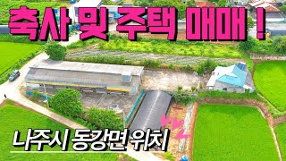 [전남축사매매] 매물번호#397 한우 축사 및 주택 매매 ! 나주시 동강면 장동리 시골땅 시골집 촌땅 촌집 매매