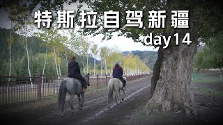 【VLOG】情侣开特斯拉自驾新疆day14