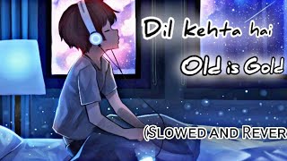 Dil kehta hai lofi song (reverb and slowed) kumar sanu&alka yagmik new version reverb