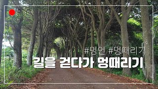 2022년 제주, 길가에서 멍때리기