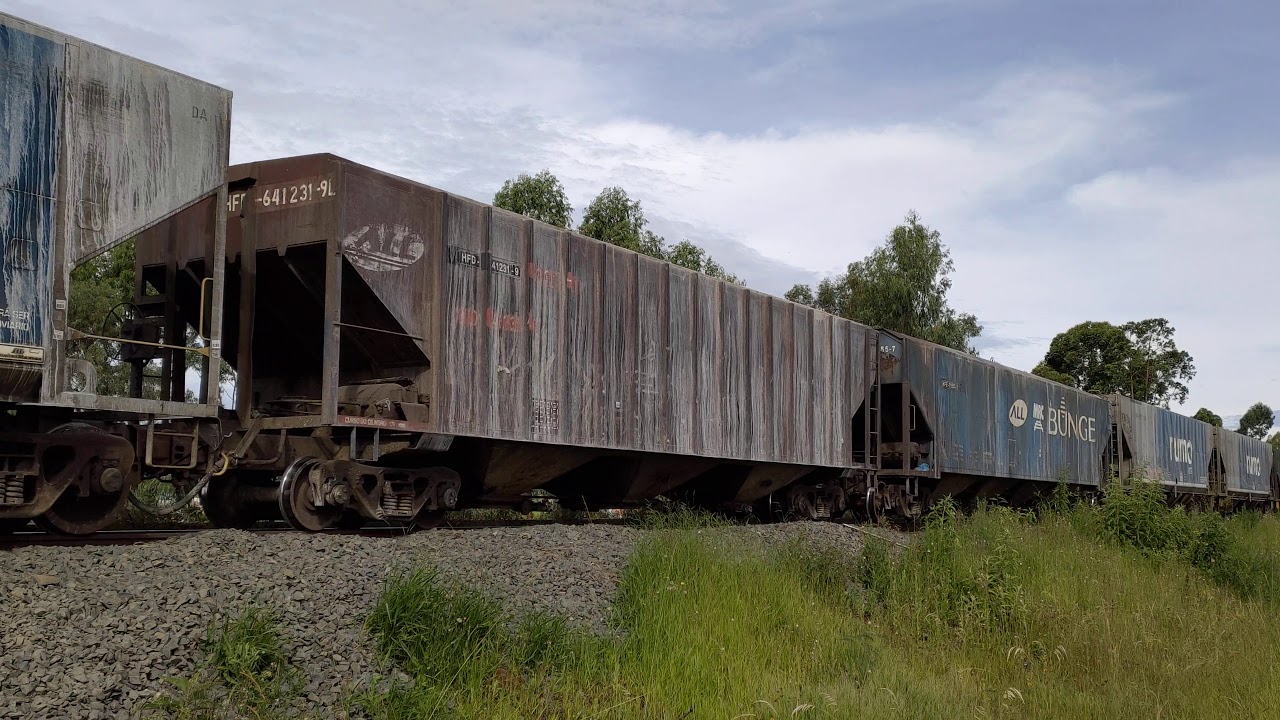 Rumo Es43bbi Youtube