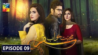 Mohabbat Khawab Safar Episode 9 HUM TV Drama