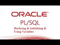 PL/SQL tutorial  : PL/SQL Variables in Oracle Database - Part 1