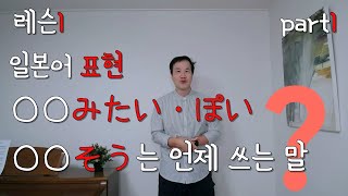 레슨1 - 일본어 추측 표현 みたい・ぽい・そう는 언제 쓰면 될까? part1