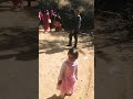 pahari dance pahari band baja shorts cute baby dance