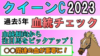 クイーンカップ2023 考察 過去5年血統チェック【バーチャルサラブレッド・リュウタロウ/競馬Vtuber】