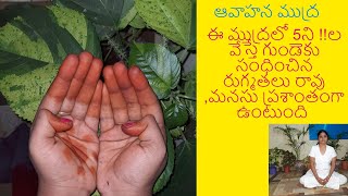 HOW TO DO ( AVAHANA MUDRA ) GOPALREDDY YOGA SIDDAMMA