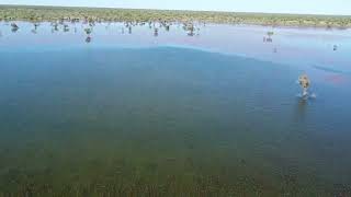 Lake Sylvester - NT