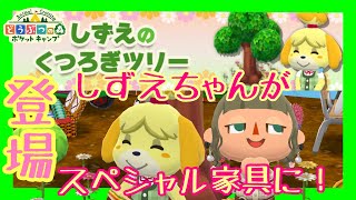 【ポケ森　2人実況＃213】素敵！！ピッタリレイアウトを4つご紹介！！　どうぶつの森　ポケットキャンプ　animal Crossing  Pocket Camp