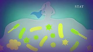 Learn to love your mucus: It's keeping you alive