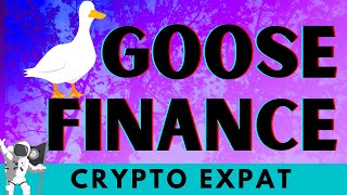 Goose Finance DeFi Yield Farm Review| Is it too Late to get in??