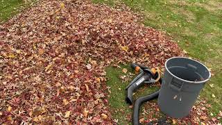 Satisfying worx leaf vacuum action