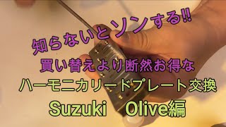 【口琴日誌】知らないと損する！作業時間10分自分で出来るSuzuki　Oliveオリーブ(C-20)リードプレート交換にチャレンジ！