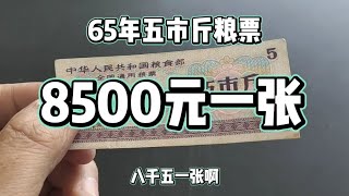 65年五市斤糧票太牛，8500一張！天天紀念幣森哥收藏