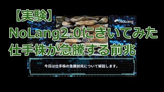 【実験】NoLang2.0にきいてみた 仕手株が急騰する前兆