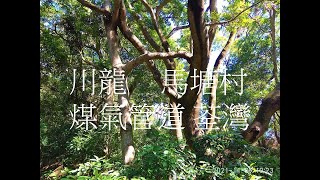 川龍_馬塘村_煤氣管道_荃灣