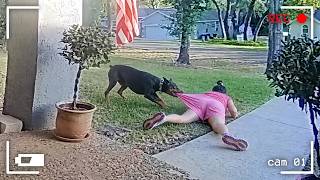105 Incredible Moments Caught on CCTV Camera