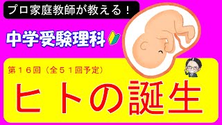 【中学受験理科】ヒトの誕生！生命の神秘を超分かりやすく１５分で解説！【ゼロから始める中学受験理科 第１６回】