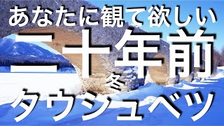 タウシュベツ　冬　#タウシュベツ#タウシュベツ橋梁#北海道遺産