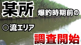 【印旛水系某所】爆釣期前調査でガボン！【カヤックトップウォーター】