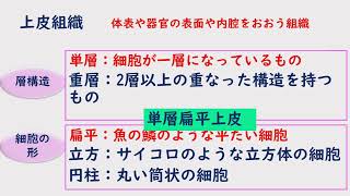 看護師国家試験まであと10日!!上皮組織過去問解説～絶対合格～♯看護師♯再受験♯合格♯楽に勉強♯聞き流し