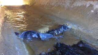 Fish passage solutions