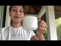 casa lanka villa @victoria golf resort srilanka u0026 pettigala hike kandy vlog digana kavithi 🇱🇰