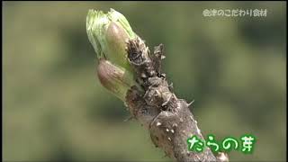 奥会津の山菜