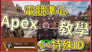 【APEX】電競RGB準心 自身化為鳳凰治療包