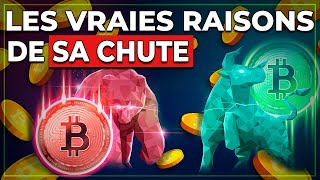 Les Vraies Raisons du KRACH du Bitcoin : Ce qu'on ne vous a pas dit !