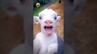 funny #short video viral#  funny Sagar #funny #comedy  Sagar ma 😄