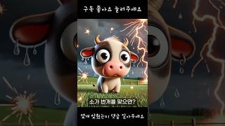 소가 번개를 맞으면?(넌센스 퀴즈)