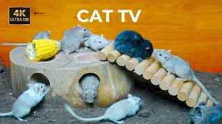 Cat TV 🐾 Mice Hide and Seek Through Wood Holes | Ultimate Entertainment for cats to watch