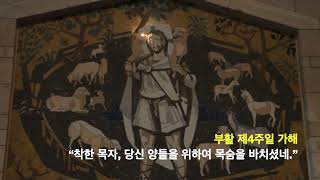 우리 자신이 받은 소명을 소홀히 여기는 것은 스스로 우리 자신을 가볍게 여기는 것입니다.(부활 제04주일 가해, 2023.04.30.)