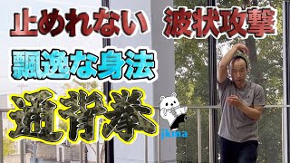 【避けるのが困難】まるで鞭通背拳の攻防