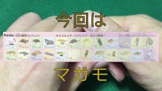 チョコエッグ　日本の動物コレクション　マガモ