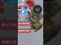 扮皇帝🎤伴奏合唱版💝❤️💕