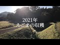 【吉田ヒデヒト農園】2021年秋 えごまの収穫