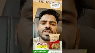 Matru - जों की सबसे अधिक उत्पादन देने वाली Variety | जौ की टॉप Variety Matru Barley Seeds 2024