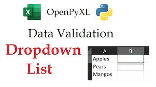 Tired of Manual Dropdowns? Try Python OpenPyXL